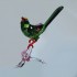 Swarovski Crystal | Crystal Paradise | Green Magpie | 5244650